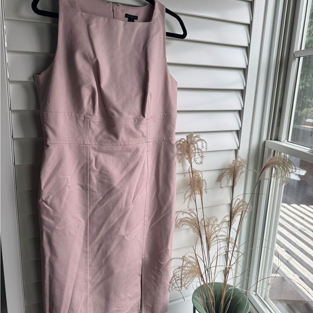 Ann Taylor Blush Pink Midi Dress